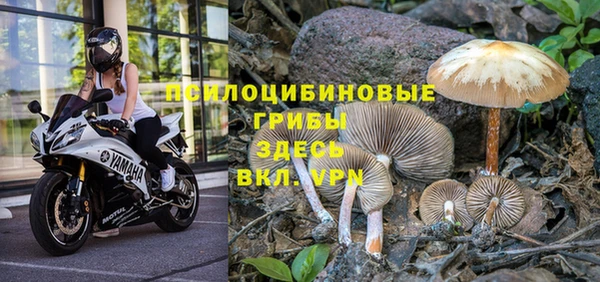 синтетический гашиш Бронницы